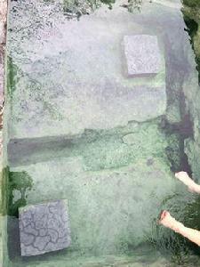 忠路溫泉 忠路溫泉