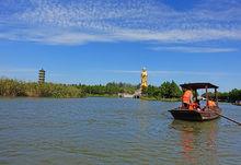 大縱湖蘆葦迷宮高清組圖