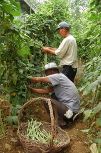 自給自足 自給自足