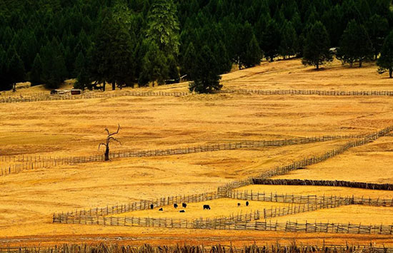 中國唯一不收費“高速公路”，耗資380億，一路風景如畫，秋天自駕美爆了！