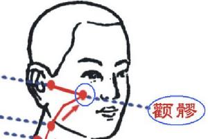 顴髎穴