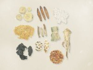 小薊飲子 小薊飲子