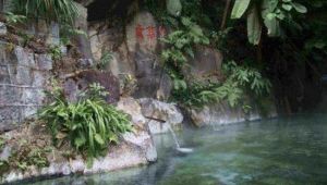 櫻花谷森林溫泉