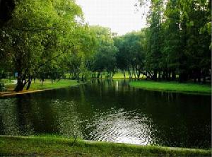 上海共青森林公園