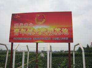 香花橋鎮現代農業園區 香花橋鎮現代農業園區