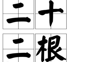 二十二根 二十二根