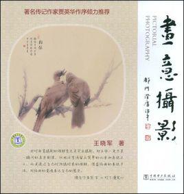 畫意攝影[王曉軍圖書]