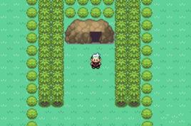 口袋妖怪:罪惡的世界 口袋妖怪:罪惡的世界