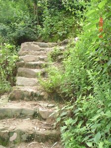 中山廠村 中山廠村