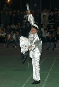 陳桂珍[太極拳師]