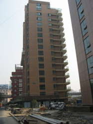 綠洲之馨 綠洲之馨