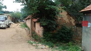 響水崖村 響水崖村