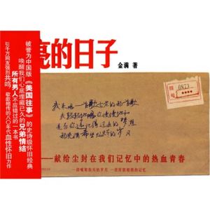 《閃亮的日子》[小說]