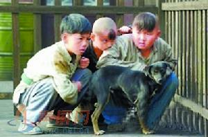 小飛虎隊 小飛虎隊