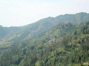 盤家灣自然村 盤家灣自然村