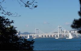 廣安里大橋 廣安里大橋