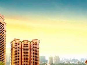 三迪凱旋楓丹 三迪凱旋楓丹