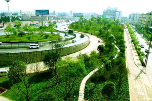 官渡石虎關森林公園