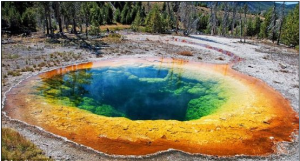 幾十年來，遊客一直往懷俄明州牽牛花池裡扔硬幣，祈求好運。大量硬幣的存在阻塞了熱噴口，降低池內溫度同時導致發生化學反應。