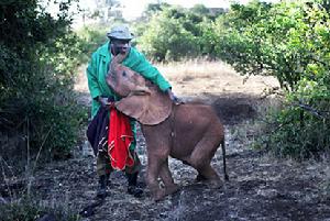 獲獎年度圖片 Rosie Hallam