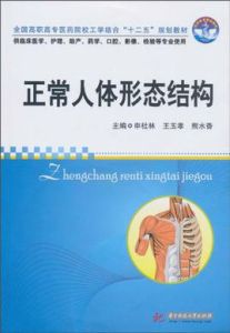 正常人體形態結構 正常人體形態結構
