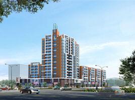 三湖名城 三湖名城