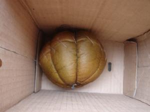 （圖）紙箱和電吹筒做烤箱烤