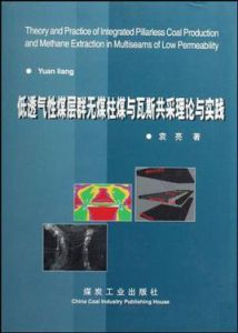 低透氣性煤層群無煤柱煤與瓦斯共采理論與實踐