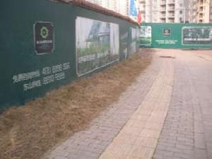 東山國際新城—D區 東山國際新城—D區