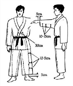 奧運會柔道比賽
