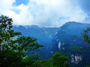 柞水牛背梁國家森林公園 柞水牛背梁國家森林公園
