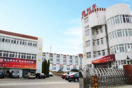 青島德利豐學校