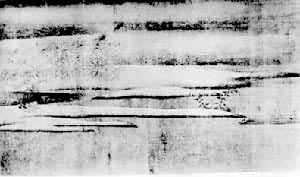 梁師閔《蘆汀密雪圖》卷 梁師閔《蘆汀密雪圖》卷