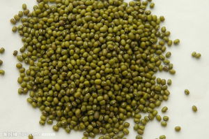 胡椒綠豆豬肚湯 胡椒綠豆豬肚湯