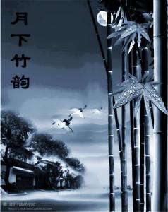 月下竹韻 月下竹韻