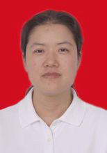 羅揚[重慶市民防辦副主任]