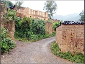 花魚洞村[雲南彌渡縣德苴鄉下轄村]