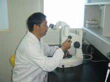 王建國[內蒙古農業大學副研究員]