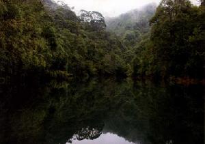 支提山國家森林公園