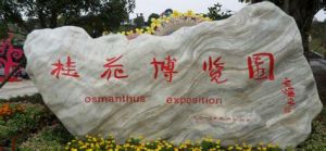 西部桂花博覽園 西部桂花博覽園