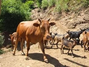 龔家坪子自然村 龔家坪子自然村
