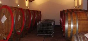 芝雲尼羅索陳年用橡木桶