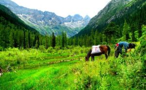 春季的美麗景色