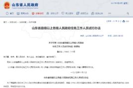 山東省縣級以上各級人民政府任免工作人員試行辦法 山東省縣級以上各級人民政府任免工作人員試行辦法