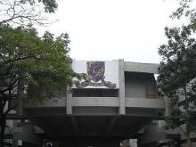 香港中文大學校園風景