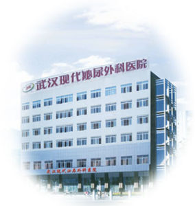 武漢現代泌尿外科醫院 武漢現代泌尿外科醫院