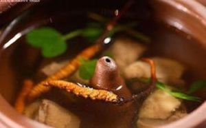 蟲草燉黃雀 蟲草燉黃雀