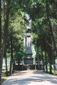 陸莊革命烈士紀念塔 陸莊革命烈士紀念塔