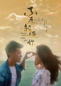 不願錯過你[2016年劉方宇執導電影]