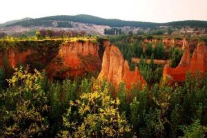 平陰玫瑰南台土林